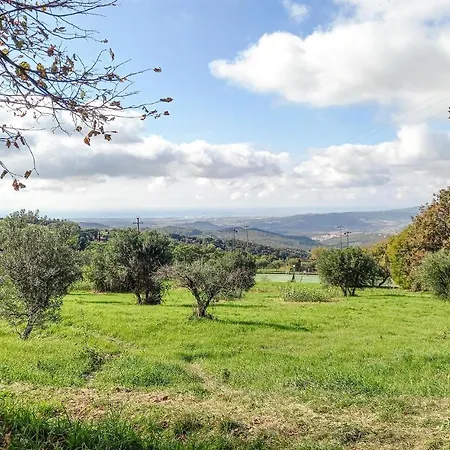 Cozy In Castellina Marittima
